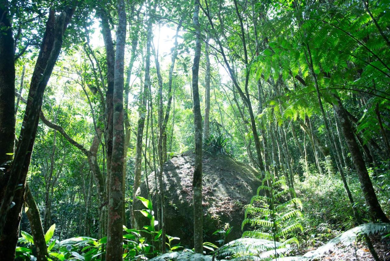 Refugio Araucarias Lodge