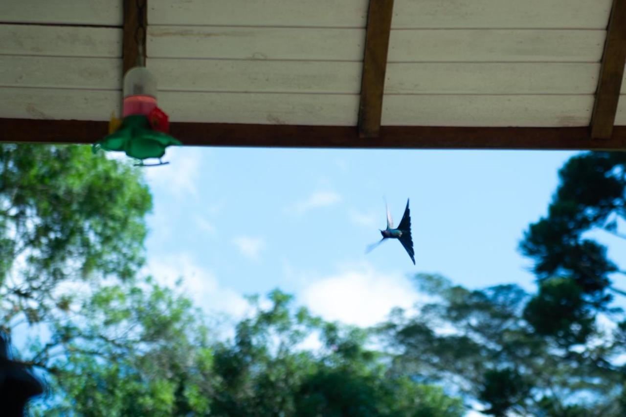 Refugio Araucarias Lodge *