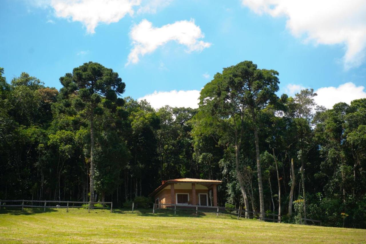 Refugio Araucarias Lodge