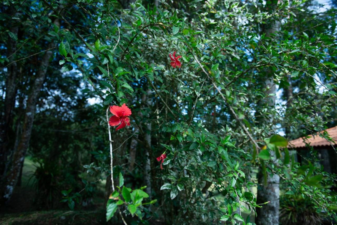 Lodge Refugio Araucarias Ibiuna